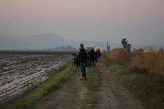 2020_Albufera_01