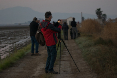 2020_Albufera_02