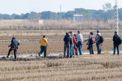 2020_Albufera_26