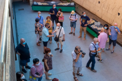 Lliurament premis concursos socials 2020