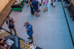 Lliurament premis concursos socials 2020