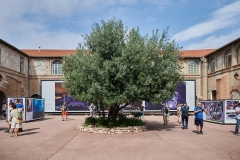 SORTIDA-PERPIGNAN-24_JM-OLIVER_14