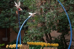 SORTIDA-PERPIGNAN-24_JM-OLIVER_7