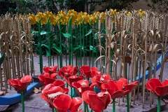 SORTIDA-PERPIGNAN-24_JM-OLIVER_8