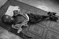 Veredicte Photoreporter 2025