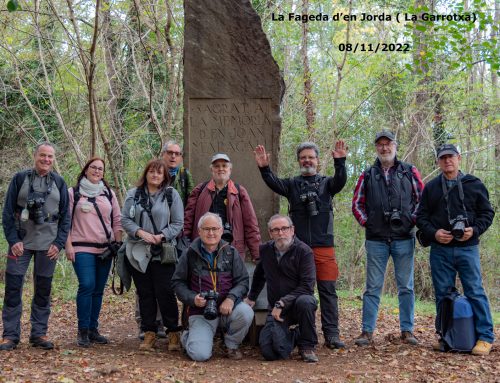 Sortida a la Fageda d’en Jordà