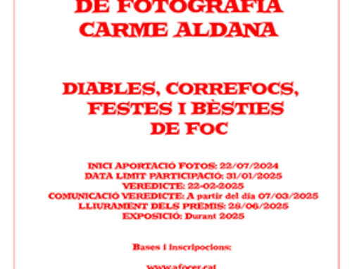 1a Biennal Carme Aldana