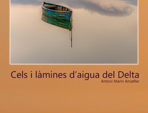 Exposició Cels i làmines d’aigua del Delta de Toni Marin