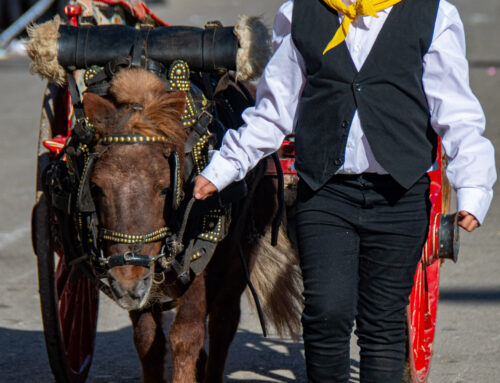 III Concurs Sant Antoni Abat de Cerdanyola