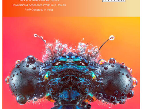 FIAP News, la revista trimestral de la FIAP